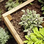 Bajt Ξενοδοχείο