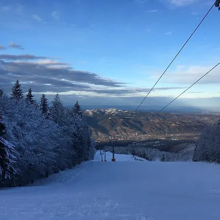 Bajt Maribor