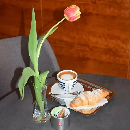 巴吉特酒店 酒店 马里博尔